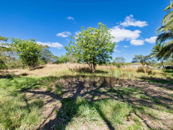 Prime 10,000 m² Development Parcel near Tamarindo
