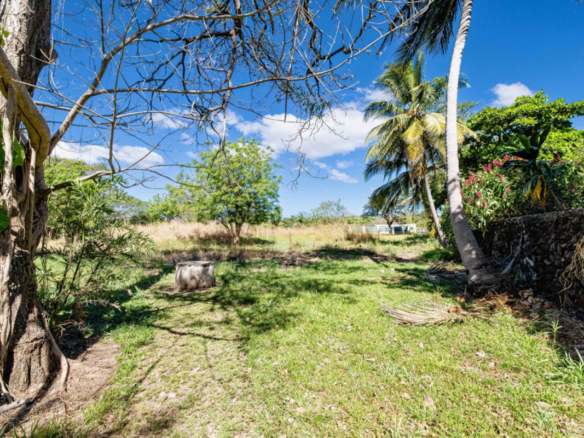 Prime 10,000 m² Development Parcel near Tamarindo