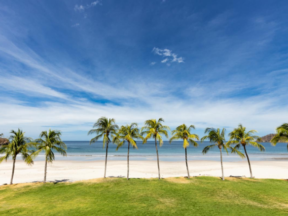 Luxury Beachfront Condo in Flamingo