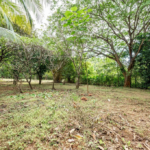 Prime Mixed Use Property in La Josefina in Exceptional Location