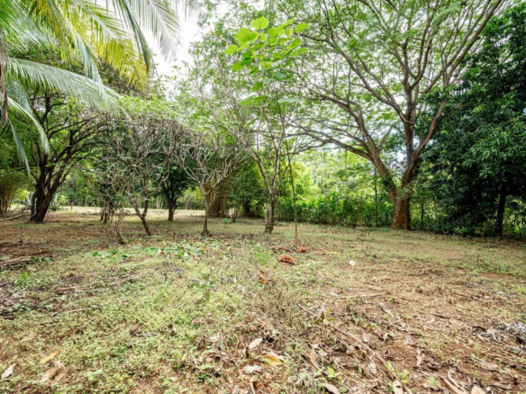 Prime Mixed Use Property in La Josefina in Exceptional Location