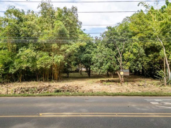 Prime Mixed Use Property in La Josefina in Exceptional Location