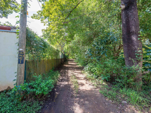 Prime Mixed Use Property in La Josefina in Exceptional Location