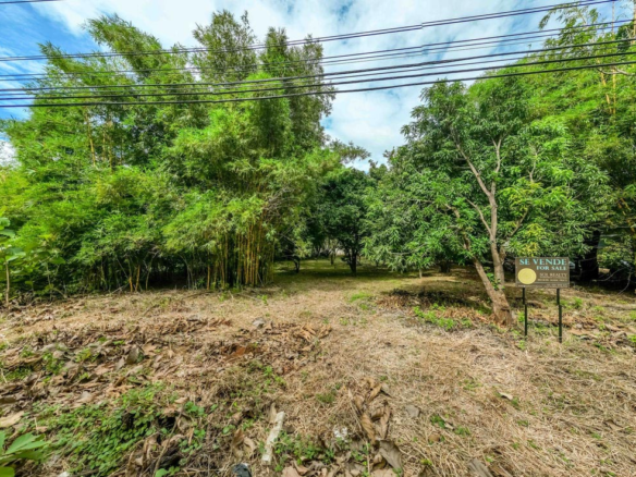 Prime Mixed Use Property in La Josefina in Exceptional Location