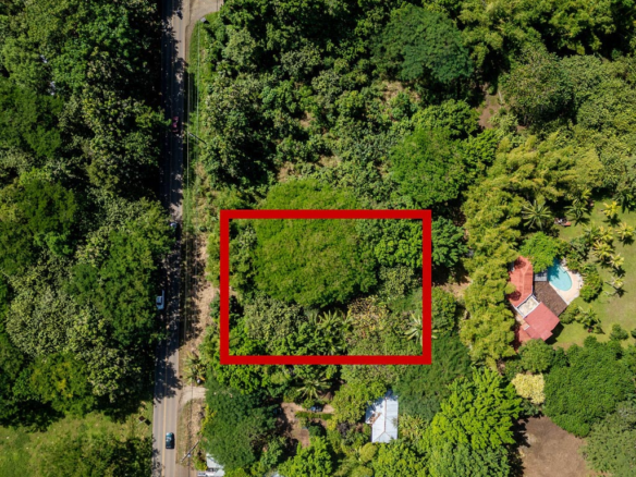 Prime Mixed Use Property in La Josefina in Exceptional Location