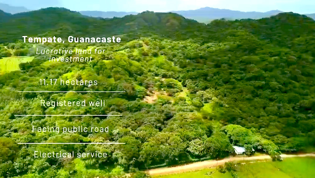 30-acre Farm with a House and Commercial Potential