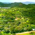 30-acre Farm with a House and Commercial Potential