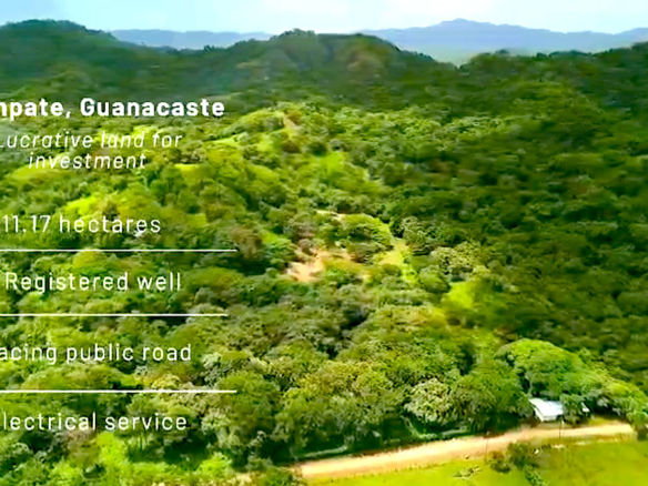 30-acre Farm with a House and Commercial Potential