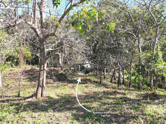 Finca with Panoramic Views and a Stream