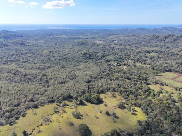 Finca with Panoramic Views and a Stream