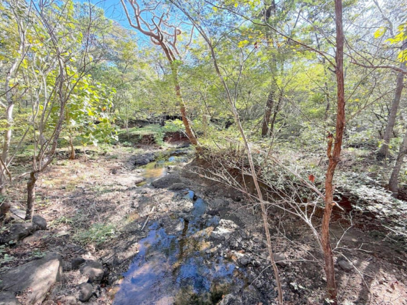 Finca with Panoramic Views and a Stream