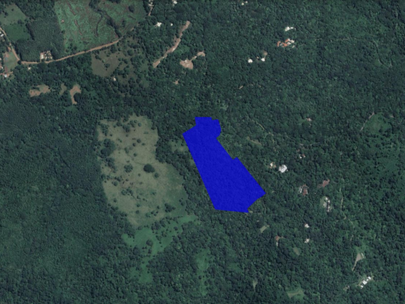 Finca with Panoramic Views and a Stream