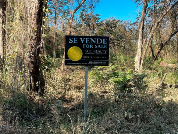 Palm Beach Public Road Frontage Lots