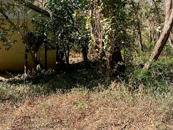 Palm Beach Public Road Frontage Lots