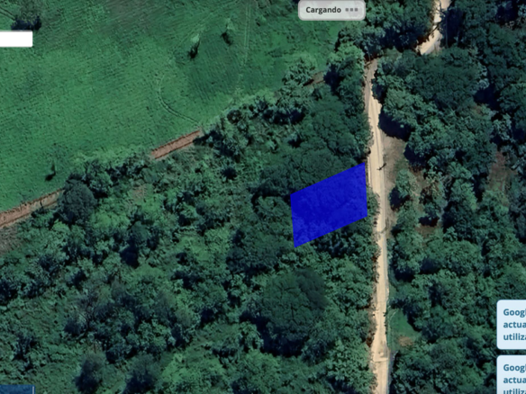 Palm Beach Public Road Frontage Lots