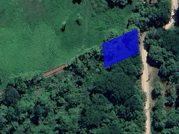 Palm Beach Public Road Frontage Lots