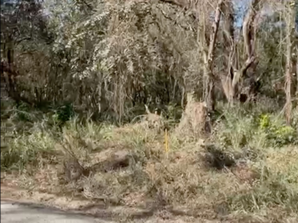 Palm Beach Public Road Frontage Lots