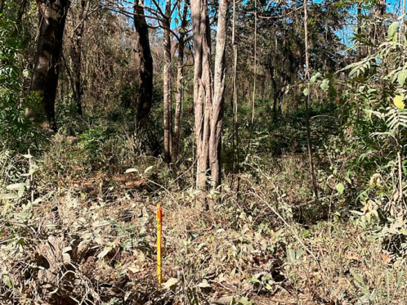 Palm Beach Public Road Frontage Lots