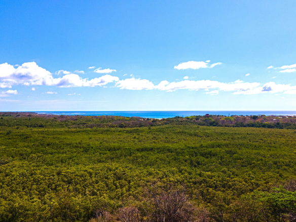 Luxury Home in Tamarindo Park Costa Rica | Casa Crucero for Sale