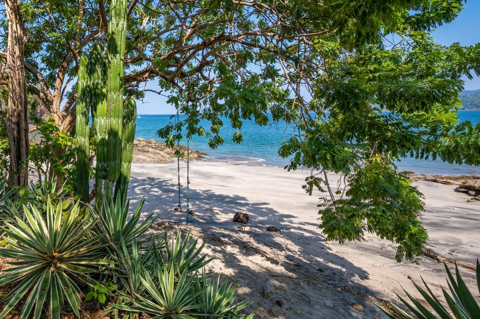 2 flamingo marina jpeg