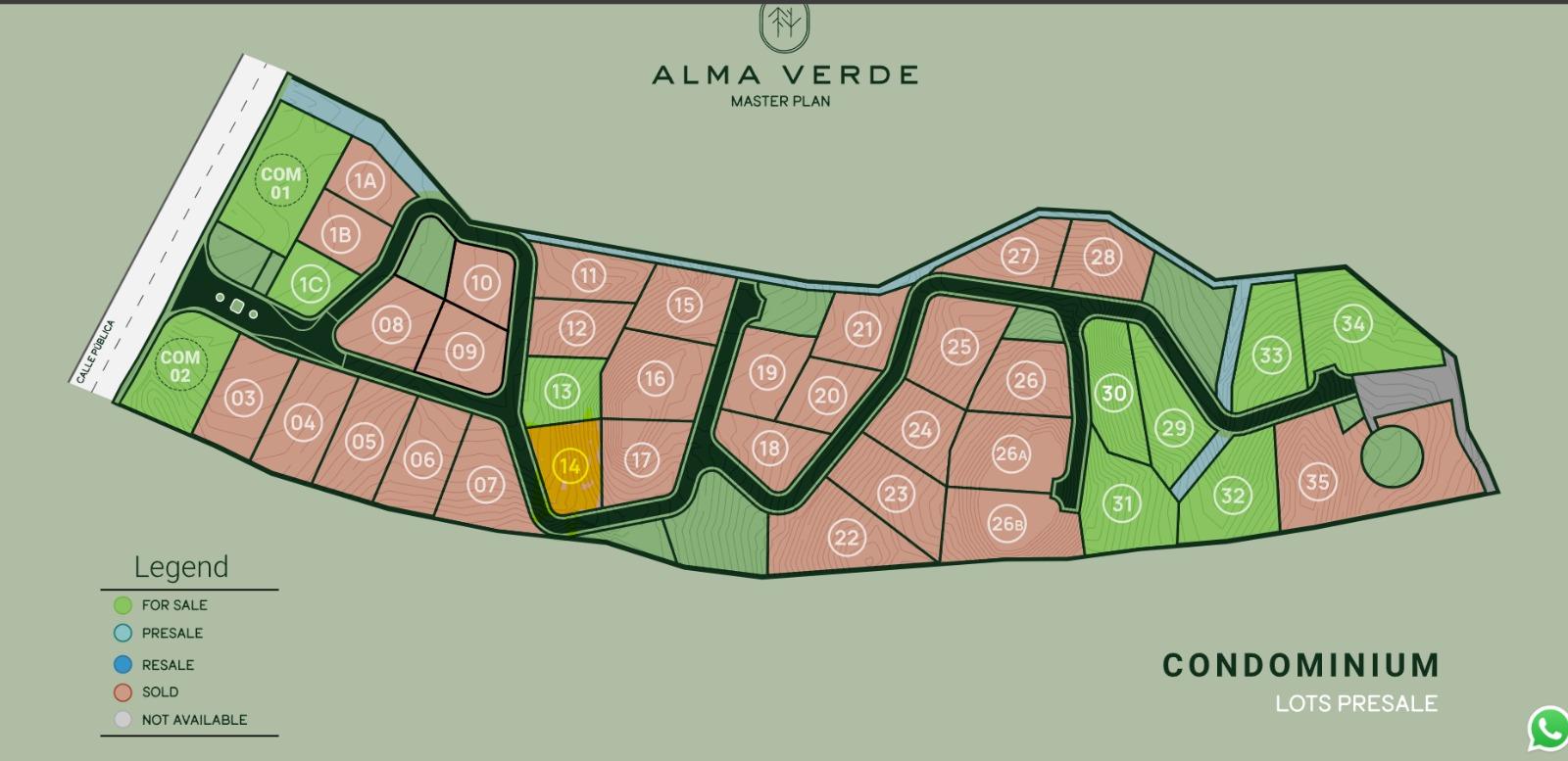 WhatsApp Image 2026-01-09 at 11.39.59