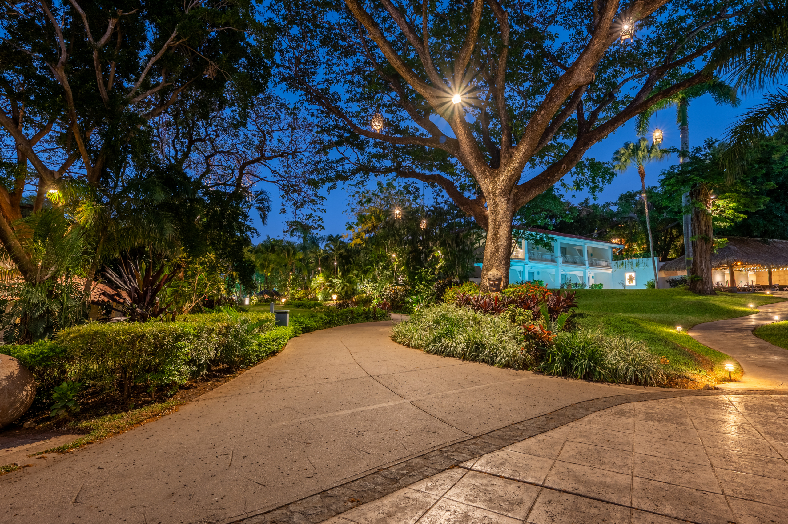Diria-41 Villa Matapalo Tamarindo: Luxury Ocean View Condo at El Diria Resort