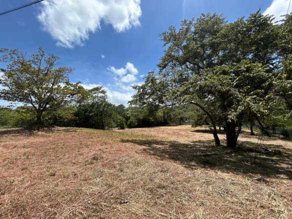 5,269 m² Lot for Sale in Villa Real Near Tamarindo