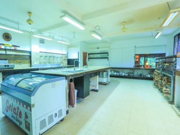Iconic Commercial Property for Sale in Tamarindo: Pizzería La Baula