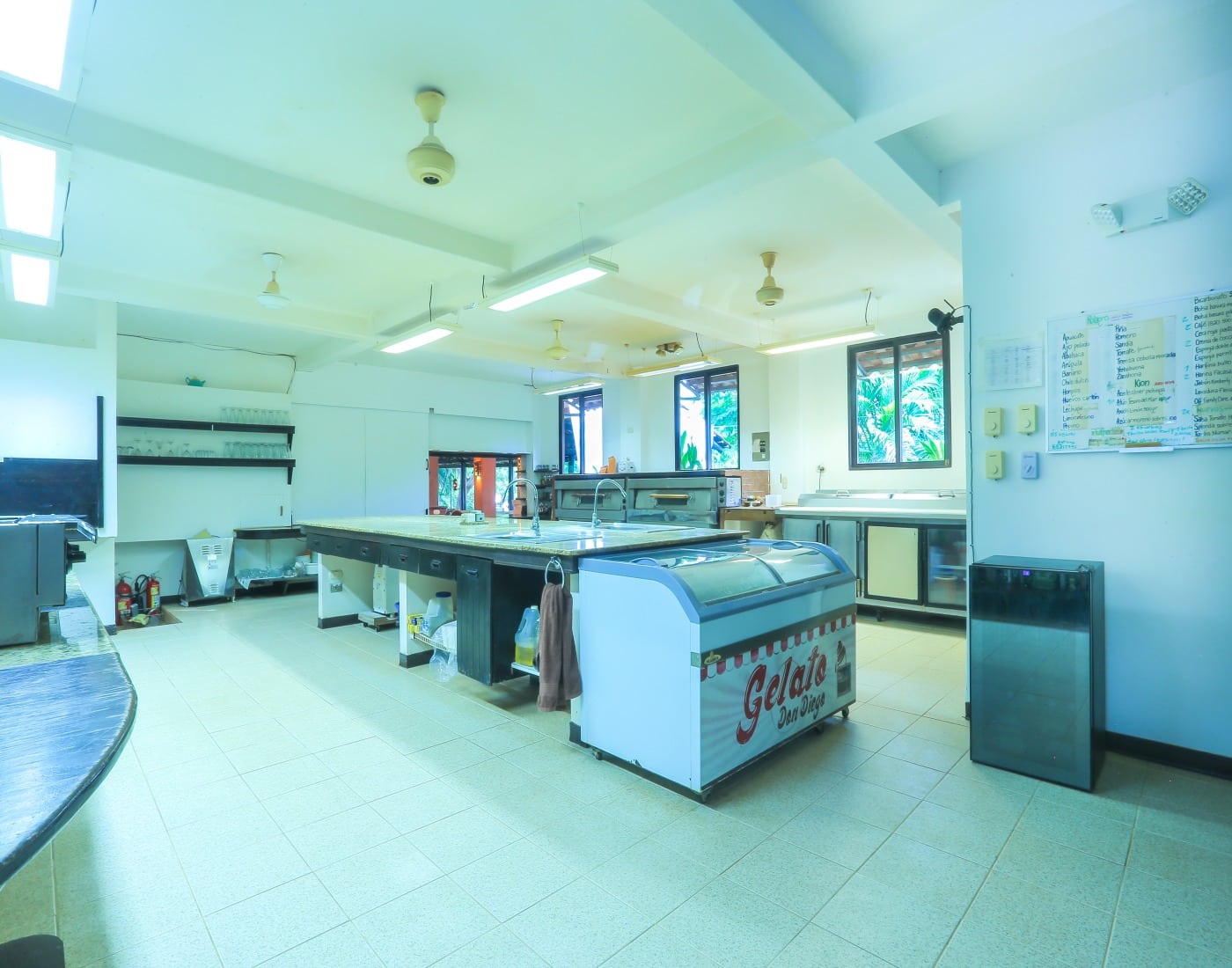 Iconic Commercial Property for Sale in Tamarindo: Pizzería La Baula