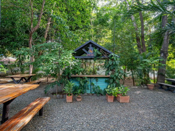 Iconic Commercial Property for Sale in Tamarindo: Pizzería La Baula