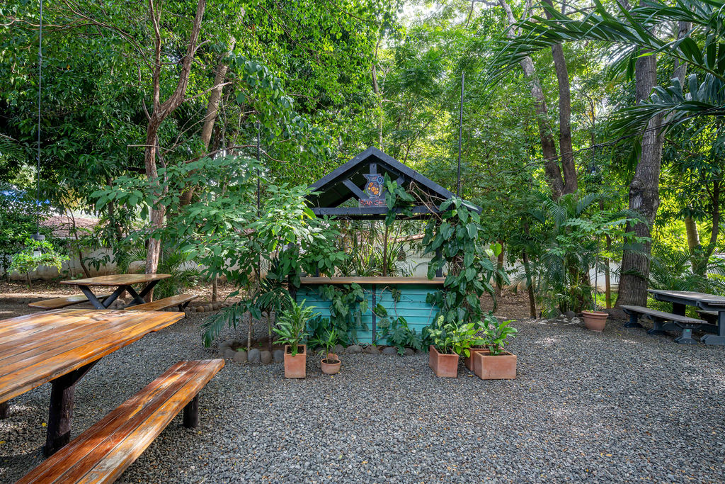 Iconic Commercial Property for Sale in Tamarindo: Pizzería La Baula