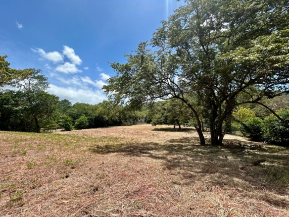 5,269 m² Lot for Sale in Villa Real Near Tamarindo